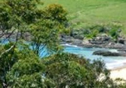 Aqua Bamboo - Tourism Adelaide 0