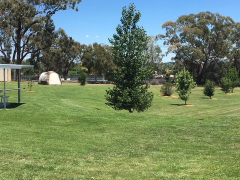 Canobolas Caravan Park - Tourism Adelaide 3