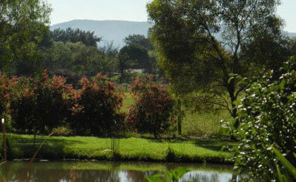 Amazing Country Escapes - Evanslea By The River - Tourism Adelaide 4