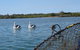 Baffle Retreat Bed And Breakfast - thumb 5