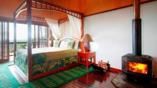 OReillys Rainforest Retreat - Tourism Adelaide 6