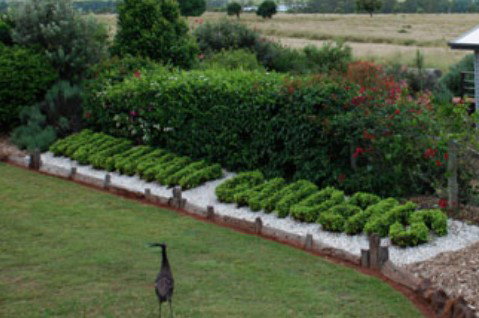 Mulanah Gardens Bed And Breakfast Cottages - Tourism Adelaide 5