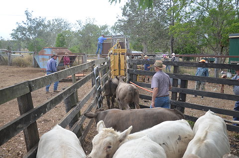Lee Farmstay - Tourism Adelaide 7