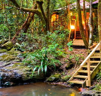 The Mouses House - Rainforest Retreat - Tourism Adelaide