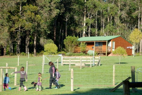 Diamond Forest Farm Stay - Tourism Adelaide 0