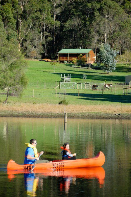 Diamond Forest Farm Stay - Tourism Adelaide 2