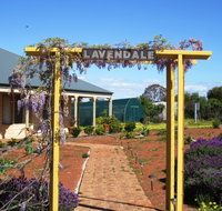 Lavendale Farmstay and Cottages - Tourism Adelaide