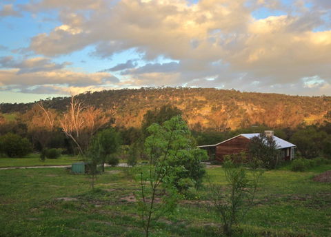 Lavendale Farmstay And Cottages - Tourism Adelaide 4