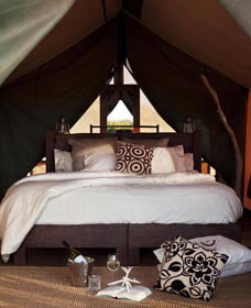 Sal Salis Ningaloo Reef - Tourism Adelaide 0