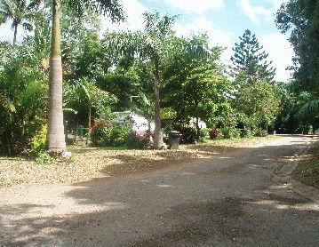 Cape Hillsborough Nature Resort - Tourism Adelaide 4