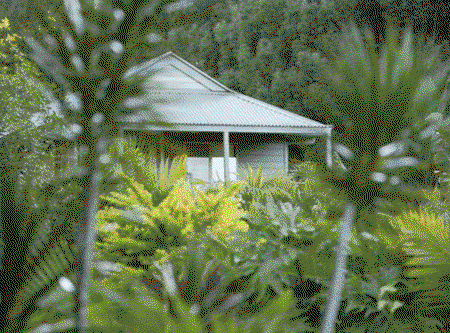 Coorabell NSW Tourism Adelaide