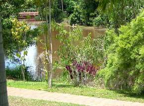 Resort Bamaga - Tourism Adelaide 2