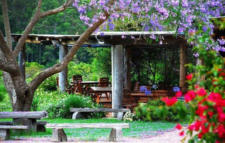 Bago Vineyards - Tourism Adelaide 1