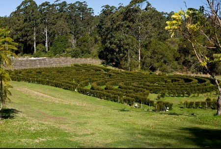 Bago Vineyards - Tourism Adelaide 2