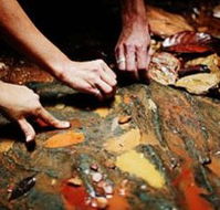 Daintree Eco Lodge And Spa - Tourism Adelaide