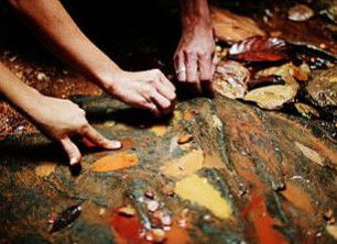 Daintree Eco Lodge And Spa - Tourism Adelaide 0