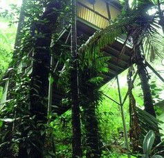 Daintree Eco Lodge And Spa - Tourism Adelaide 1