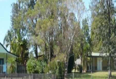 Nimbin NSW Tourism Adelaide