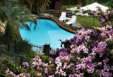 Boambee Palms Bed And Breakfast - Tourism Adelaide 1