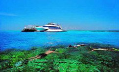 Port O' Call Eco Lodge - Tourism Adelaide 2