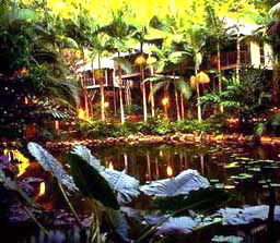 Daintree Eco Lodge And Spa - Tourism Adelaide 3