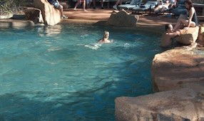 Mount Surprise QLD Tourism Adelaide