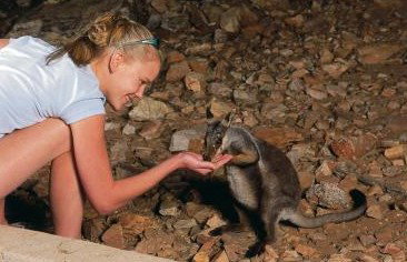 Heaviytrr Gap Outback Lodge - Tourism Adelaide 5