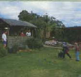 Tambo Lodge - Tourism Adelaide