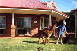 Tourism Adelaide