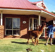 Brilea Cottages - Tourism Adelaide