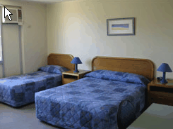 Hamilton Motor Inn - Tourism Adelaide 2