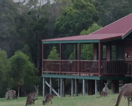 Walpole Wilderness Resort - Tourism Adelaide