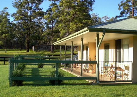 Neds Bed Horse O Tel - Tourism Adelaide 1