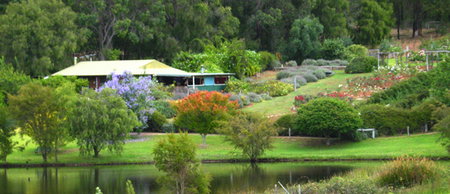 Lavender And Berry Farm - Tourism Adelaide 0