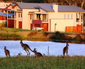 Grand Mercure The Vintage Hunter Valley - Tourism Adelaide 0