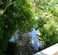 Mole Creek Hotel - Tourism Adelaide