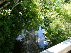 Mole Creek Hotel - Tourism Adelaide 0