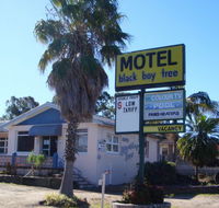 Blackboy Tree Motel - Tourism Adelaide