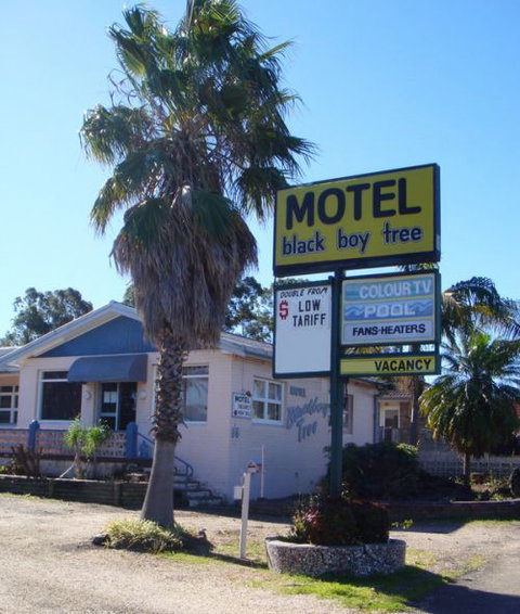 Blackboy Tree Motel - Tourism Adelaide 0