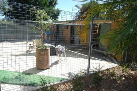 Beenleigh Pet Motel - Tourism Adelaide 4