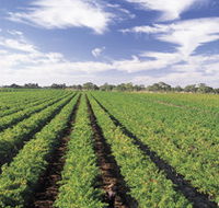 Diplomat Motel amp Restaurant - Tourism Adelaide