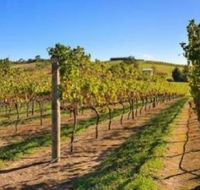 DeVine Escape - Tourism Adelaide