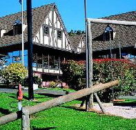 Golden Chain Village Family Motor Inn - Tourism Adelaide