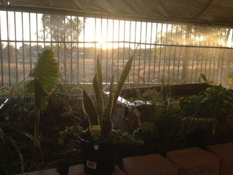 Cityside Accommodation | Mt Isa - Tourism Adelaide 5