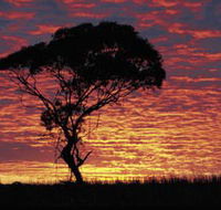 Kimba Caravan Park amp Motel - Tourism Adelaide