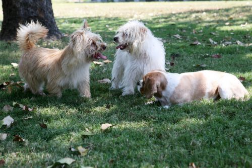 Willawong QLD Tourism Adelaide