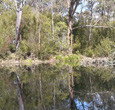 Sanctuary House Resort Motel - Healesville - Tourism Adelaide 5
