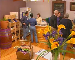 Settlers Ridge Organic Wines - Tourism Adelaide 0