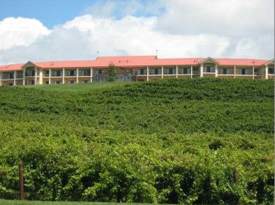 Turners Vineyard - Tourism Adelaide 4