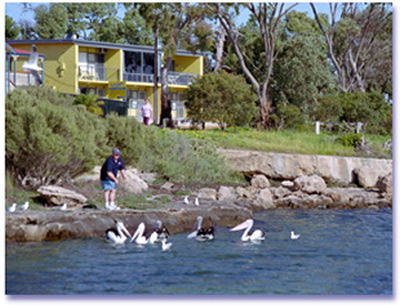 Almonta Holiday Apartments - Tourism Adelaide 0